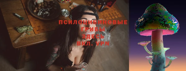 дживик Алексин