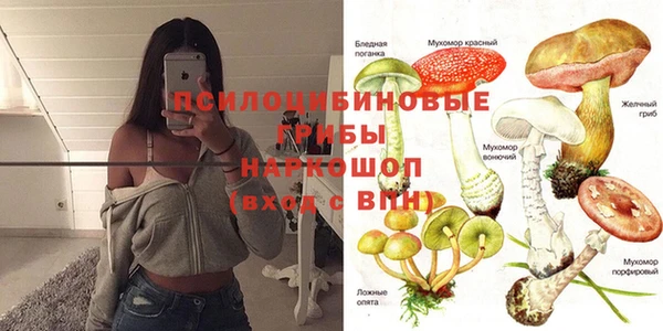 марки nbome Инта