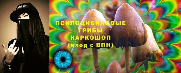 гидропоника Алзамай