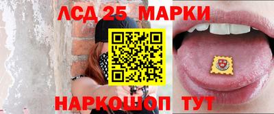 молекула духа Шелехов
