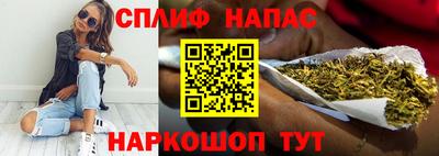 молекула духа Шелехов