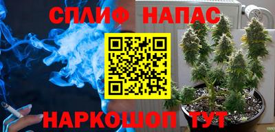 молекула духа Шелехов