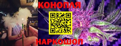 молекула духа Шелехов