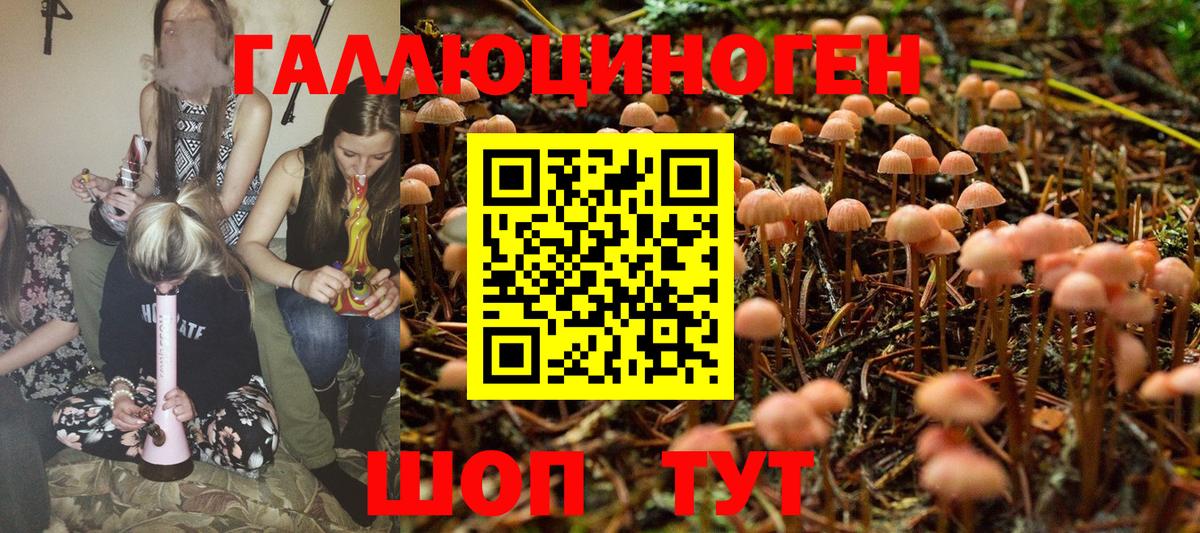 Псилоцибиновые грибы MAGIC MUSHROOMS  Вход с VPN  Алушта  Галлюциногенные грибы GOLDEN TEACHER 